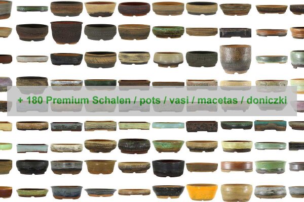 Nuova categoria per vasi premium - Nuova categoria per vasi premium
