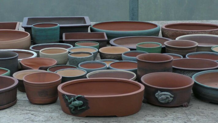 Anteprima nuovi vasi bonsai 2024/02 - Anteprima nuovi vasi bonsai 2024/02