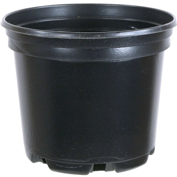Nursery plant pot 13x13x10.5cm black round plastic 1l