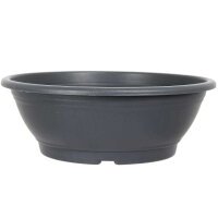 Pot à bonsaï 20x20x7cm gris rond plastique