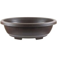 Bonsai pot 47.7x37.7x15cm dark brown oval plastic