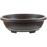 Bonsai pot 36.6x29.2x11.8cm dark brown oval plastic