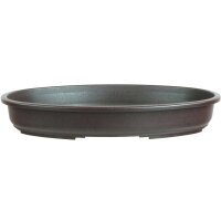 Bonsai pot 35x24x5cm dark brown oval plastic