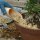 Soil Scoop for bonsai potting, large, plastic