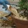 Soil scoop for bonsai potting, medium, plastic