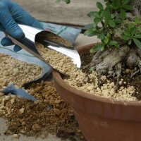 Soil scoop for bonsai potting, medium, stainless