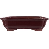 Bonsai pot 26.5x21x7.5cm ruby rectangular glaced