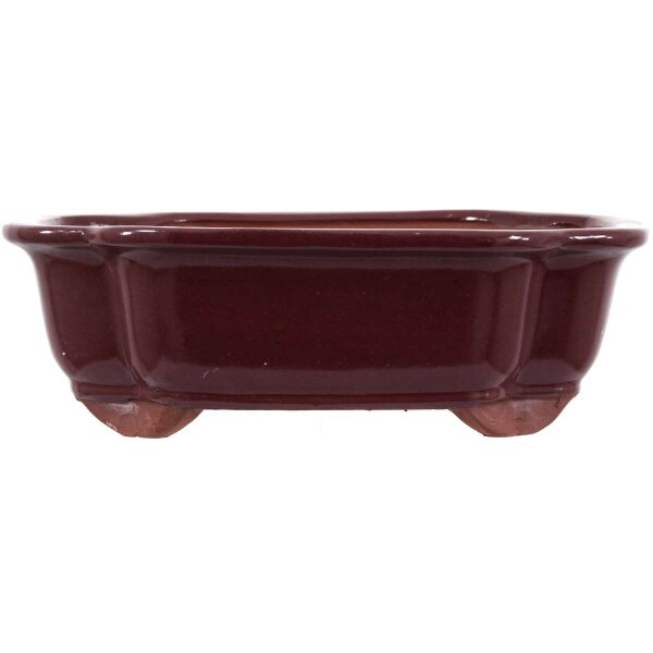 Bonsai pot 25.5x20.5x8cm ruby other shape glaced