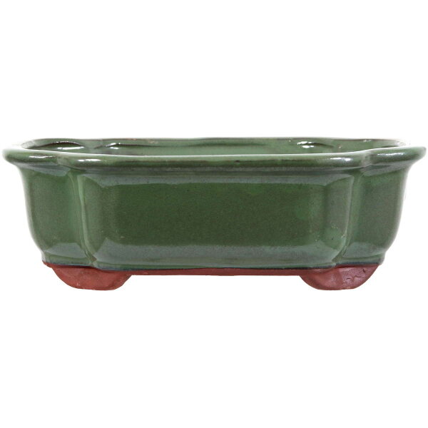 Bonsai pot 25.5x20.5x8cm light-green other shape glaced