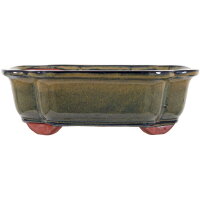 Bonsai pot 25.5x20.5x8cm dark-olive other shape glaced