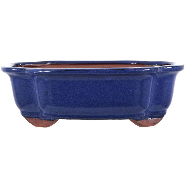 Bonsai pot 25.5x20.5x8cm blue other shape glaced