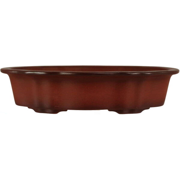 Bonsai pot 25x16.5x6cm dark-brown lotus Shape unglaced
