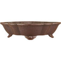 Bonsai pot 25x20.5x6cm brown lotus Shape unglaced