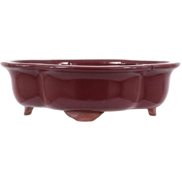 Bonsai pot 25x21x7.5cm ruby other shape glaced