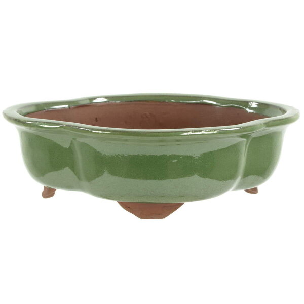 Bonsai pot 25x21x7.5cm green other shape glaced