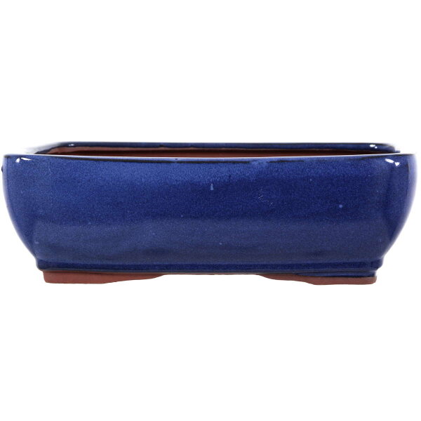 Bonsai pot 25x19.5x8cm blue rectangular glaced