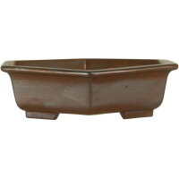 Bonsai pot 22.5x19.5x5.5cm dark-brown hexagonal unglaced