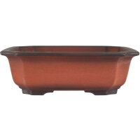 Bonsai pot 21.5x21.5x6.5cm antique-redbrown other shape unglaced