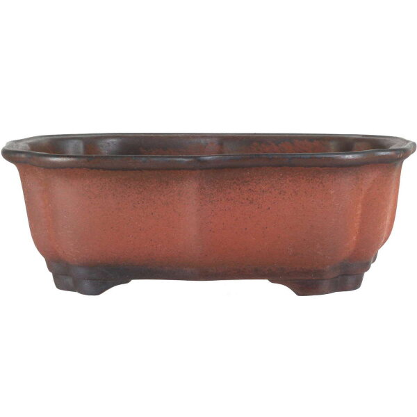 Bonsai pot 20.5x15x7cm dark-brown other shape unglaced