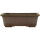 Bonsai pot 21x17x6.5cm dark-brown rectangular unglaced