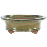 Bonsai pot 20x16x6.5cm olive oval glaced