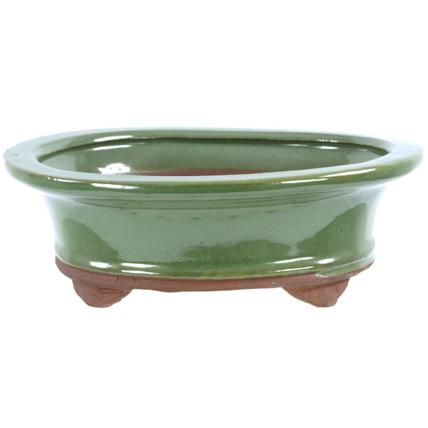 Bonsai pot 20x16x6.5cm light green oval glaced