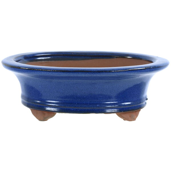 Bonsai pot 20x16x6.5cm blue oval glaced
