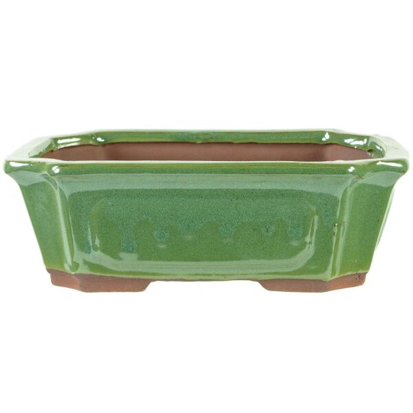 Bonsai pot 20x15x6.5cm light green rectangular glaced