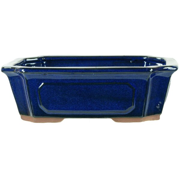 Bonsai pot 20x15x6.5cm blue rectangular glaced