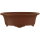 Bonsai pot 16x12x5.5cm dark-brown oval unglaced