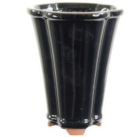Bonsai pot 11.5x11.5x14.5cm black other shape glaced