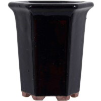 Bonsai pot 8x8x9.5cm black other shape glaced