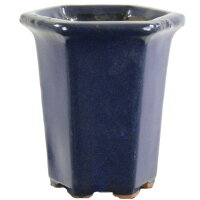 Bonsai pot 8x8x10cm blue other shape glaced