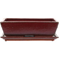Bonsai pot with drip tray 27.5x17.5x8cm red rectangular...