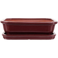 Bonsai pot with drip tray 26.5x21x7.5cm ruby rectangular...