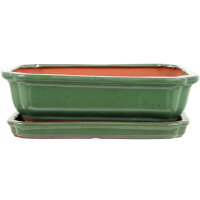 Bonsai pot with drip tray 26.5x21x7.5cm green rectangular glaced