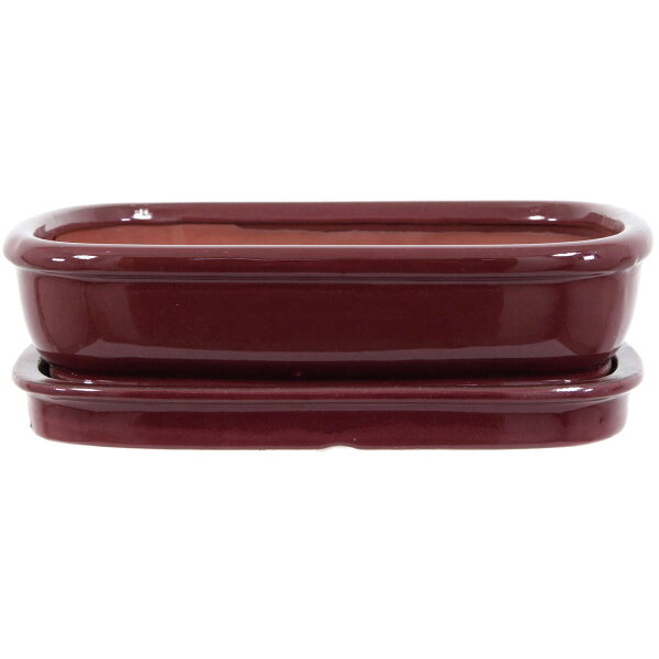 Bonsai pot with drip tray 25.5x19.5x6.5cm ruby rectangular glaced