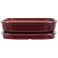 Bonsai pot with drip tray 25.5x19.5x6.5cm ruby...