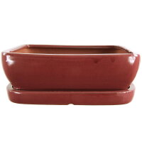 Bonsai pot with drip tray 25.5x19.5x8.5cm ruby...