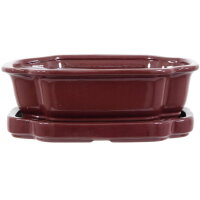 Bonsai pot with drip tray 25x20x8cm ruby other shape glaced