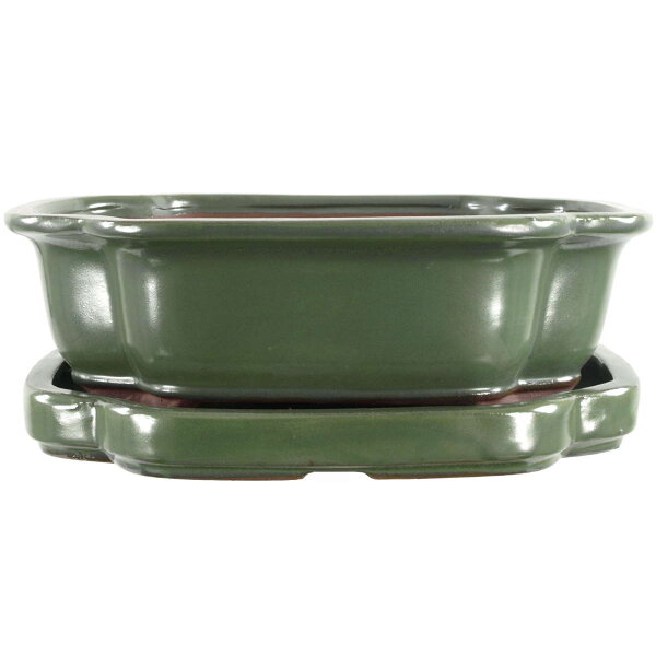 Bonsai pot with drip tray 25x20x8cm green other shape glaced