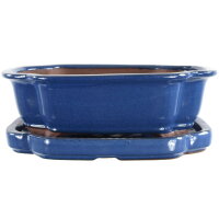 Bonsai pot with drip tray 25x20x8cm blue other shape glaced