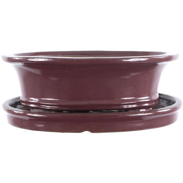 Bonsai pot with drip tray 25x20.5x8cm ruby oval glaced