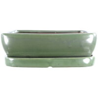 Bonsai pot with drip tray 24.5x19.5x8cm green rectangular...