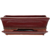 Bonsai pot with drip tray 24x16x7cm red rectangular glaced