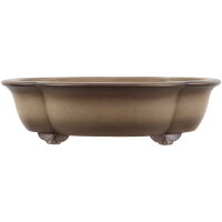 Bonsai pot 46x42x12.5cm antique-grey other shape unglaced