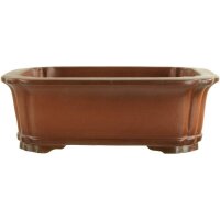 Bonsai pot 17x13.5x5.5cm Masteredition antique brown...