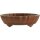 Bonsai pot 16.5x13.5x4.5cm Masteredition antique brown oval unglaced