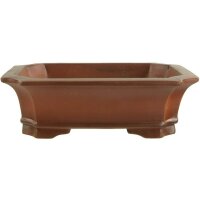 Bonsai pot 17x13.5x5cm Masteredition antique brown...