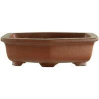 Bonsai pot 11x8x3.2cm Masteredition antique brown...